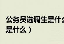 公务员选调生是什么意思（公务员选调生说的是什么）