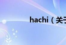 hachi（关于hachi的介绍）