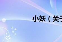 小妖（关于小妖的介绍）