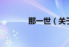 那一世（关于那一世的介绍）