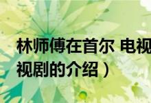 林师傅在首尔 电视剧（关于林师傅在首尔 电视剧的介绍）