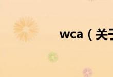 wca（关于wca的介绍）