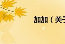 加加（关于加加的介绍）