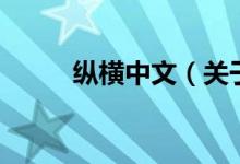 纵横中文（关于纵横中文的介绍）