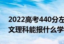 2022高考440分左右能上哪些大学（新高考文理科能报什么学校）