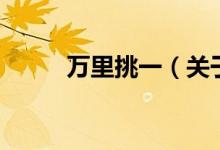 万里挑一（关于万里挑一的介绍）