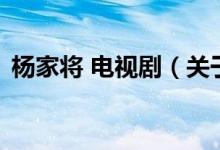 杨家将 电视剧（关于杨家将 电视剧的介绍）