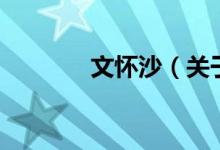 文怀沙（关于文怀沙的介绍）