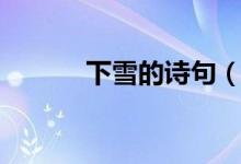 下雪的诗句（描写下雪的诗句）