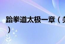跆拳道太极一章（关于跆拳道太极一章的介绍）
