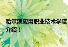 哈尔滨应用职业技术学院（关于哈尔滨应用职业技术学院的介绍）