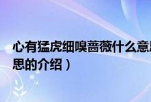 心有猛虎细嗅蔷薇什么意思（关于心有猛虎细嗅蔷薇什么意思的介绍）