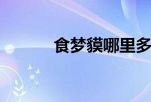 食梦貘哪里多（具体资料介绍）