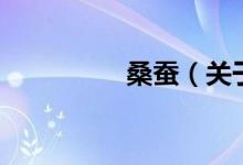 桑蚕（关于桑蚕的介绍）