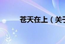 苍天在上（关于苍天在上的介绍）