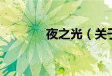夜之光（关于夜之光的介绍）