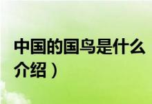 中国的国鸟是什么（关于中国的国鸟是什么的介绍）