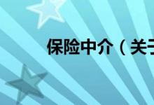 保险中介（关于保险中介的介绍）