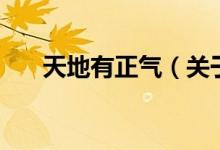 天地有正气（关于天地有正气的介绍）