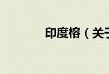 印度榕（关于印度榕的介绍）
