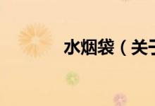 水烟袋（关于水烟袋的介绍）