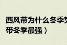 西风带为什么冬季势力比夏季强（为什么西风带冬季最强）