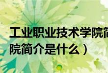工业职业技术学院简介（昆明工业职业技术学院简介是什么）
