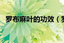 罗布麻叶的功效（罗布麻叶的功效是什么）