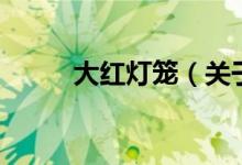 大红灯笼（关于大红灯笼的介绍）