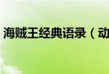 海贼王经典语录（动画片海贼王的经典句子）