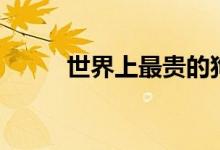 世界上最贵的狗（分别是多少钱）