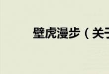 壁虎漫步（关于壁虎漫步的介绍）