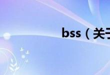bss（关于bss的介绍）