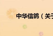 中华信鸽（关于中华信鸽的介绍）