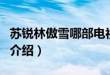 苏锐林傲雪哪部电视剧（苏锐林傲雪的电视剧介绍）
