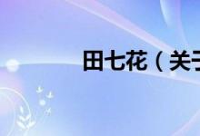 田七花（关于田七花的介绍）