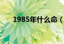1985年什么命（1985年具体什么命）