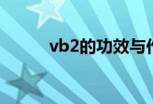 vb2的功效与作用（vb2是什么）