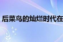 后菜鸟的灿烂时代在哪里可以看（有谁主演）
