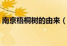 南京梧桐树的由来（南京梧桐树是怎么来的）