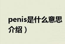 penis是什么意思（关于penis是什么意思的介绍）