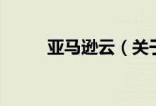 亚马逊云（关于亚马逊云的介绍）