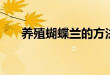 养殖蝴蝶兰的方法（怎么养护蝴蝶兰）