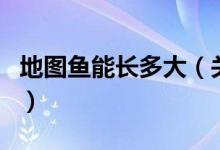 地图鱼能长多大（关于地图鱼能长多大的介绍）