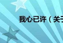 我心已许（关于我心已许的介绍）