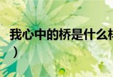 我心中的桥是什么样子的（我心中的桥的范文）