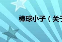 棒球小子（关于棒球小子的介绍）