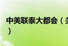 中美联泰大都会（关于中美联泰大都会的介绍）