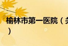 榆林市第一医院（关于榆林市第一医院的介绍）