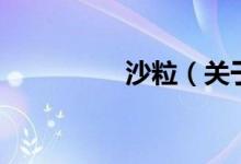 沙粒（关于沙粒的介绍）